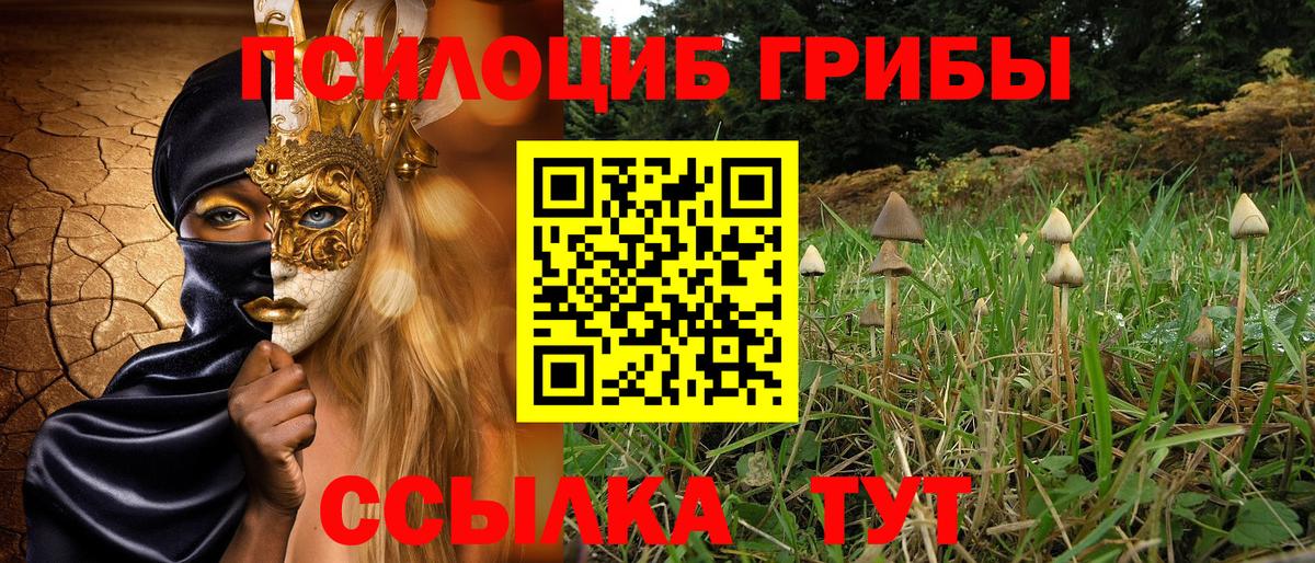 Галлюциногенные грибы Psilocybe Нефтекумск