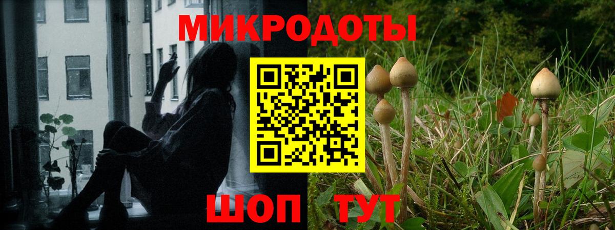 Псилоцибиновые грибы прущие грибы  Вход с VPN  Нефтекумск  Галлюциногенные грибы GOLDEN TEACHER 